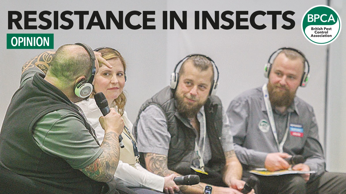 Insect hero Insect hero